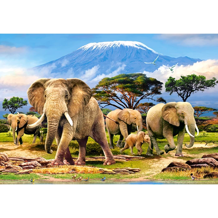 Castorland C-103188 - A Kilimandzsáró reggel - 1000 db-os puzzle