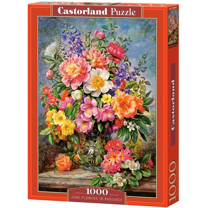 Castorland C-103904 - Júniusi virágok - 1000 db-os puzzle
