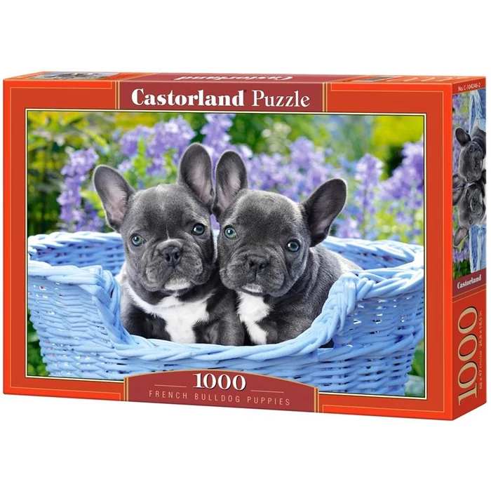 Castorland C-104246 - Francia bulldog kutyusok - 1000 db-os puzzle