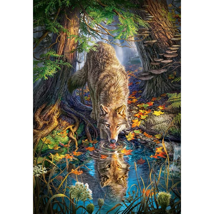 Castorland C-151707 - Farkas a vadonban - 1500 db-os puzzle