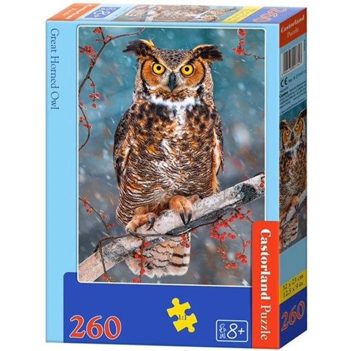 Castorland B-27347 - Amerikai uhu - 260 db-os puzzle