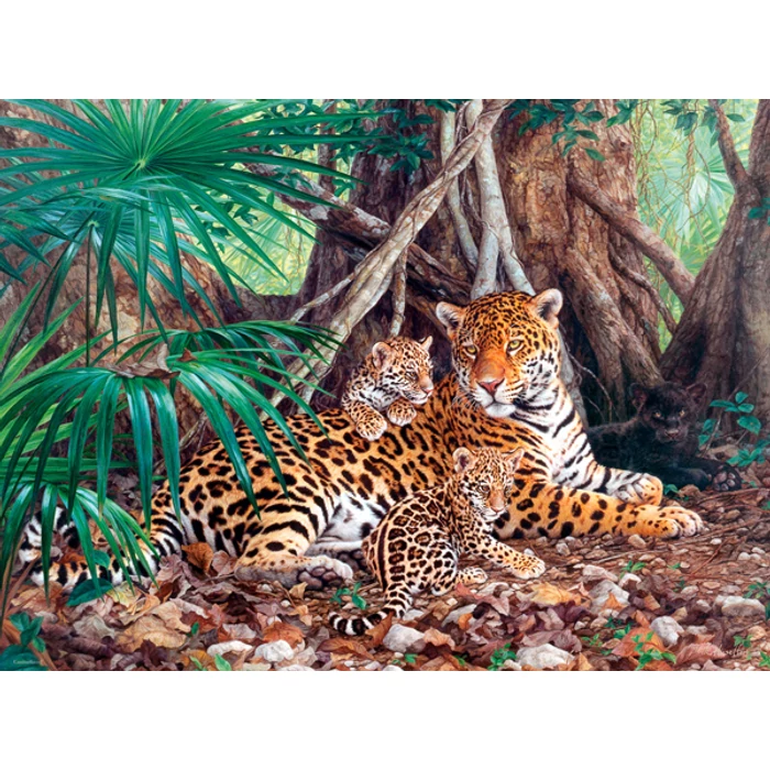 Castorland C-300280 - Jaguárok a dzsungelben - 3000 db-os puzzle