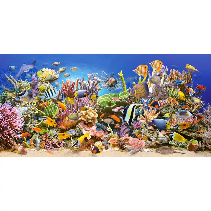 Castorland C-400089 - Víz alatti élet - 4000 db-os puzzle