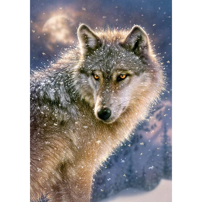 Castorland B-52431 - Magányos farkas - 500 db-os puzzle