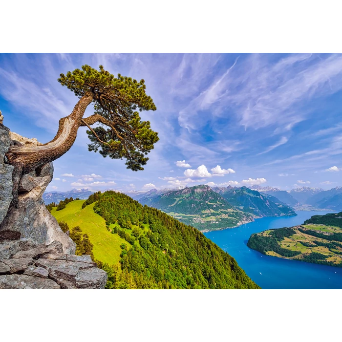 Castorland C-105311 - View of the Lake of Uri - Switzerland - 1000 db-os puzzle