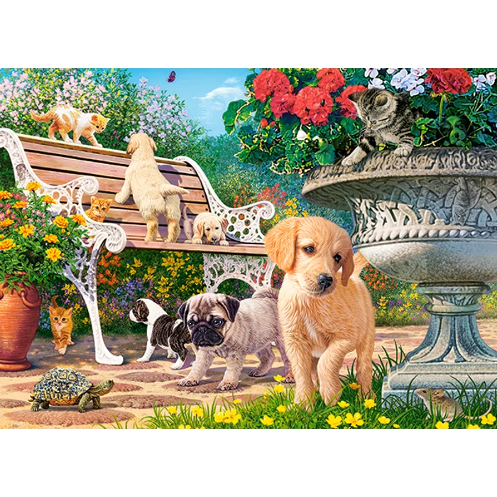 Castorland B-111220 - Bújócska - 100 db-os puzzle
