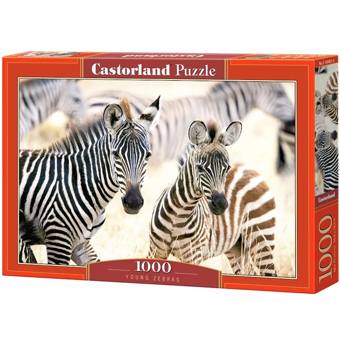 Castorland C-105021 - Fiatal Zebrák - 1000 db-os puzzle