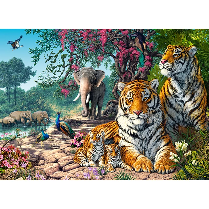 Castorland B-030484 - Tigrisszentély - 300 db-os puzzle
