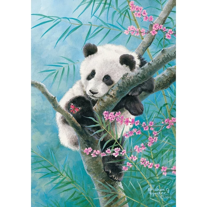 Castorland B-53865 - Bambusz álmok - 500 db-os puzzle