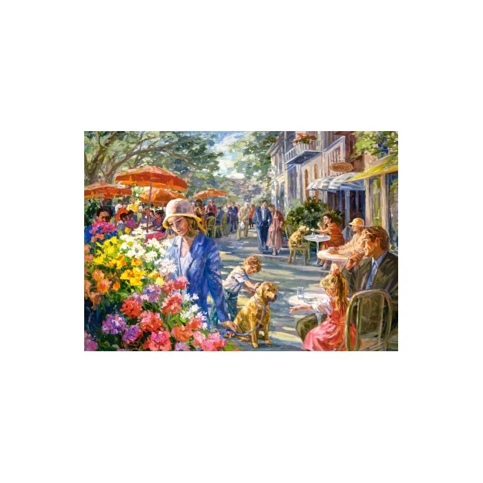 Castorland B-53438 - Álmok útja - 500 db-os puzzle