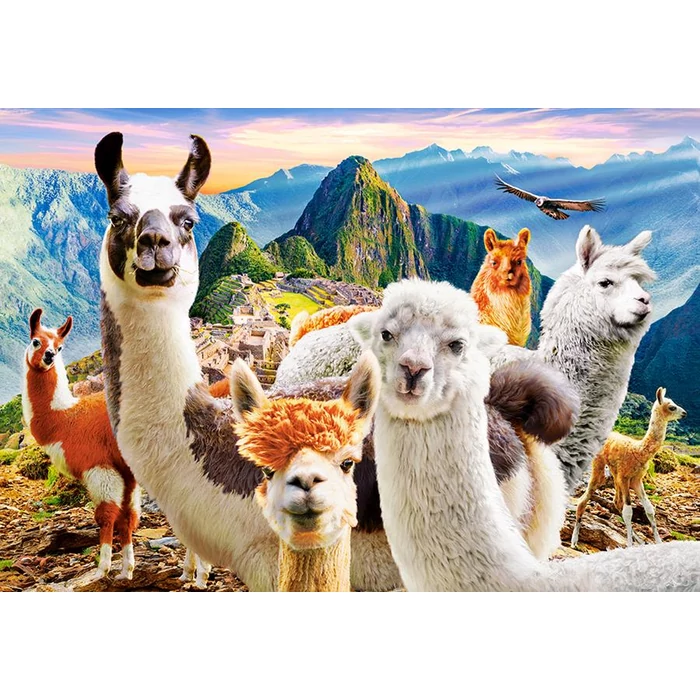 Castorland C-104758 - Lámák - 1000 db-os puzzle
