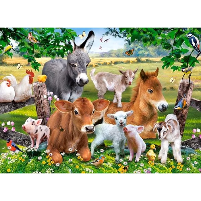 Castorland B-111138 - A farmon - 100 db-os puzzle