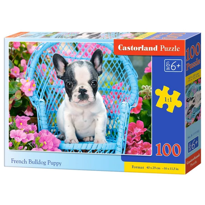 Castorland B-111152 - Francia bulldog kölyök - 100 db-os puzzle
