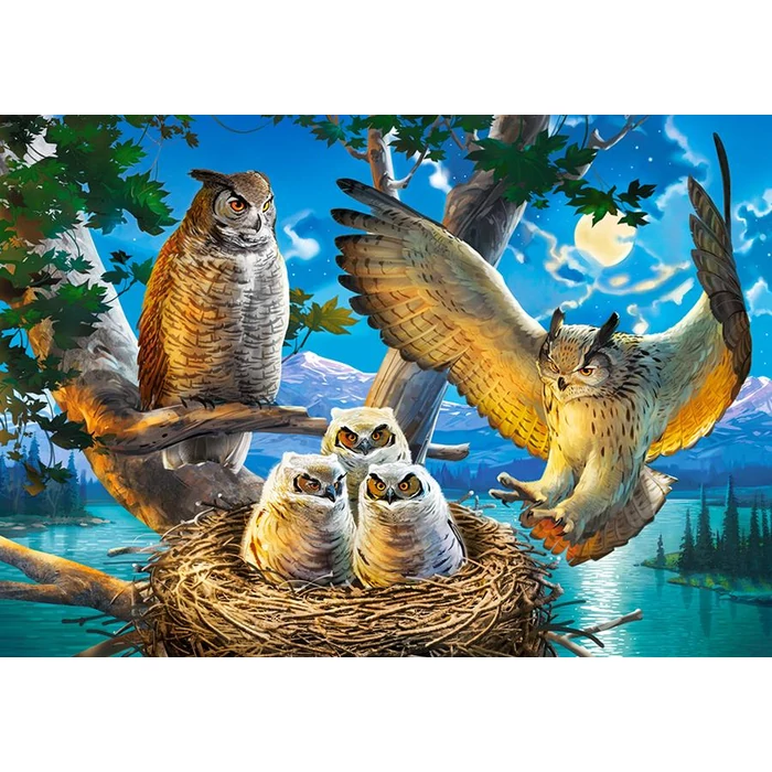 Castorland B-53322 - Bagoly család - 500 db-os puzzle
