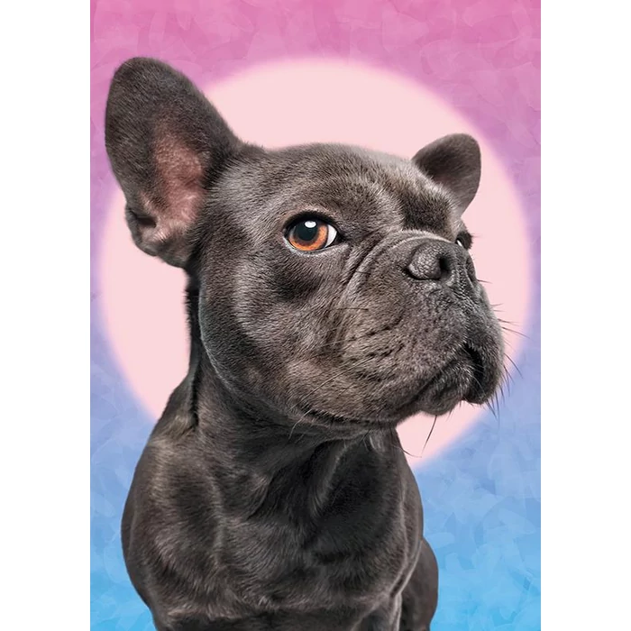 CherryPazzi 30097 - I'm watching you - 1000 db-os puzzle
