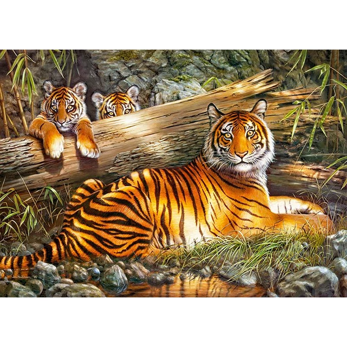 CherryPazzi 30325 - Quiet Fire - 1000 db-os puzzle