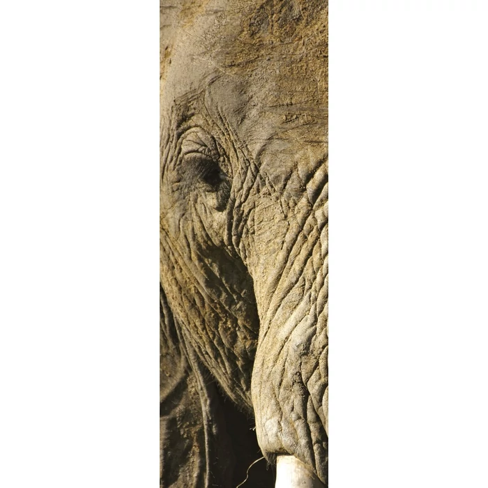 Clementoni 39307 - Trittico - Állatok - 3 x 500 db-os puzzle