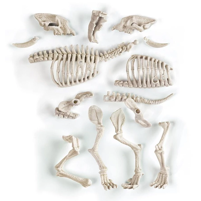 Clementoni 61253 - Archeofun - Világító Kardfogú tigris tudományos játék