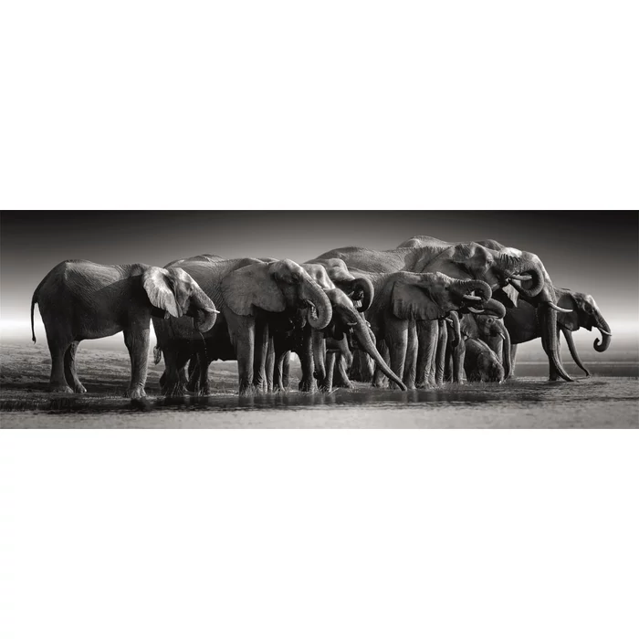 Clementoni 39895 - High Quality Collection - Panoráma Compact - Herd Of Gigants - 1000 db-os puzzle