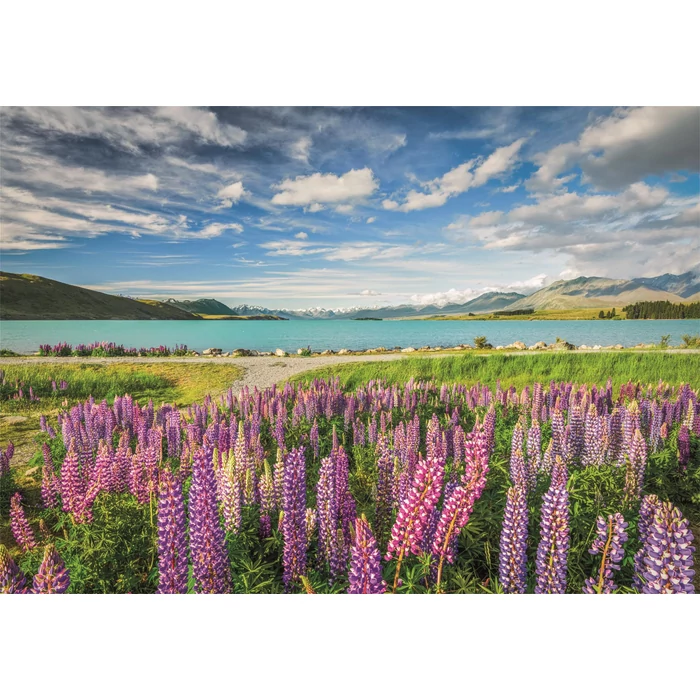 Clementoni 31731 - High Quality Collection - Lupins at lake Tekapo - 1500 db-os puzzle