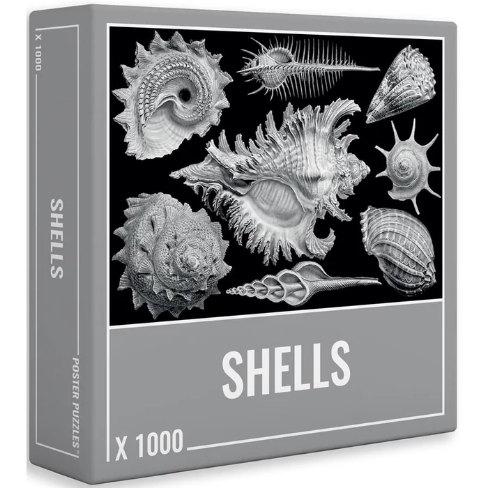 Cloudberries - Shells - 1000 db-os puzzle