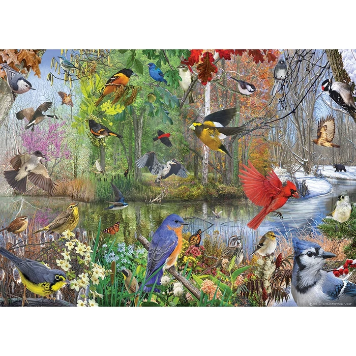Cobble Hill 40163 - Birds of the Season - 1000 db-os puzzle