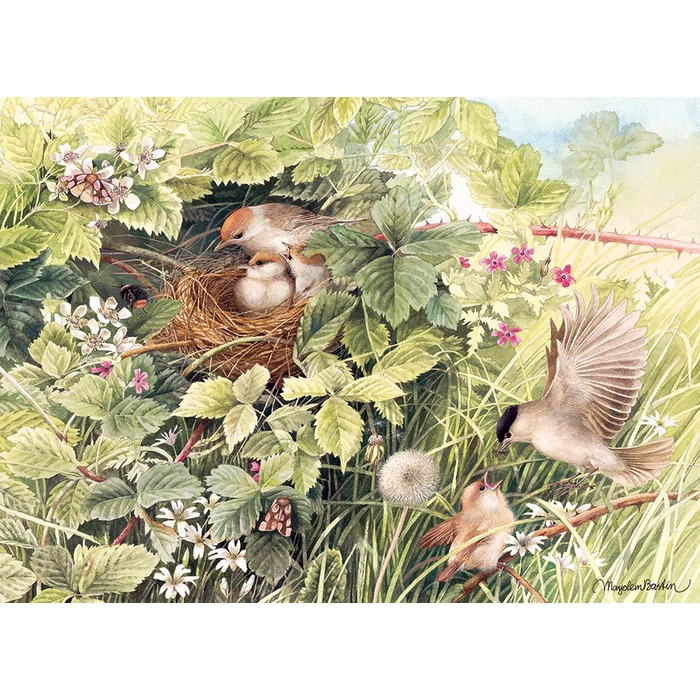 Cobble Hill 40162 - Hidden Nest - 1000 db-os puzzle