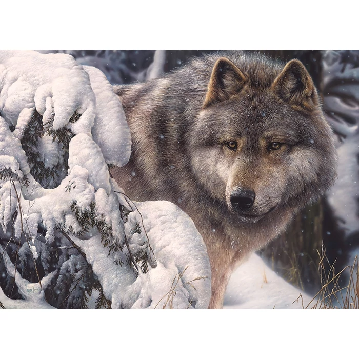 Cobble Hill 40026 - Master of the North - 1000 db-os puzzle