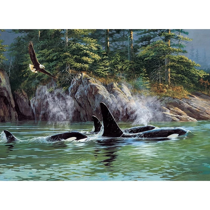 Cobble Hill 40183 - Orcas - 1000 db-os puzzle