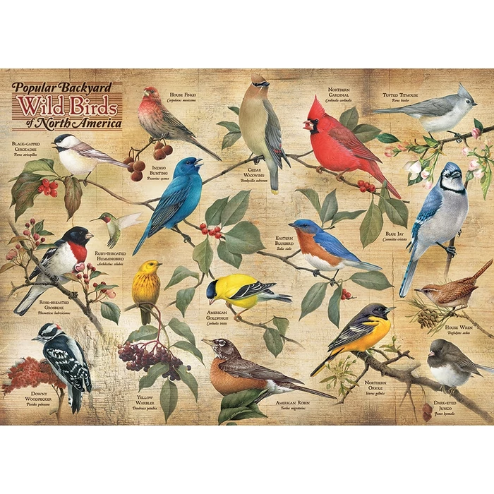 Cobble Hill 40179 - Popular Backyard Wild Birds of North America - 1000 db-os puzzle