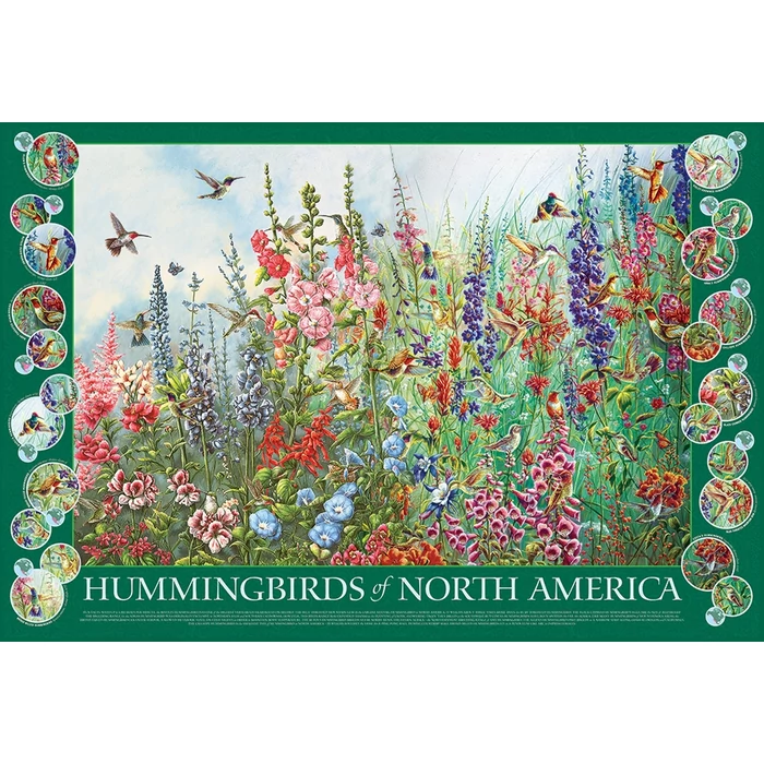 Cobble Hill 49015 - Hummingbirds of North America - 2000 db-os puzzle
