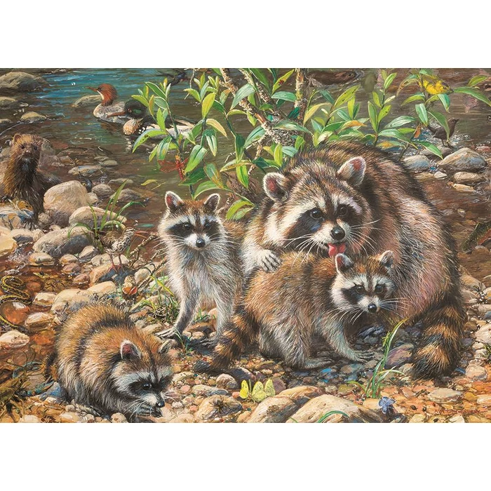 Cobble Hill 54607 - Raccoon Family - 350 db-os Family puzzle