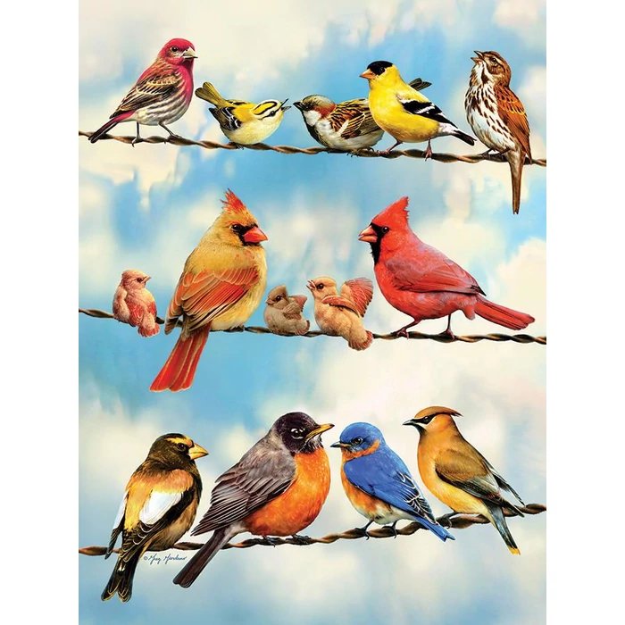 Cobble Hill 45046 - Birds on a Wire - 500 db-os puzzle