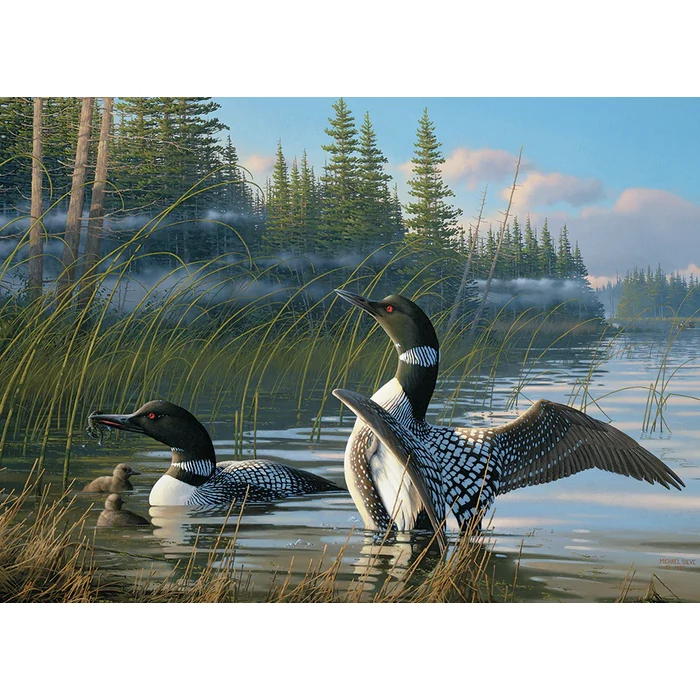 Cobble Hill 40175 - Common Loons - 1000 db-os puzzle