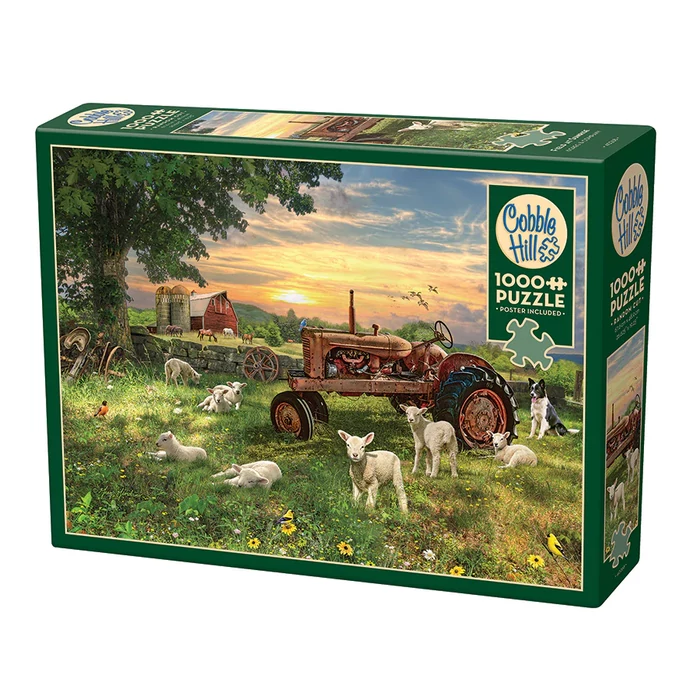Cobble Hill 40268 - Field at Sunrise - 1000 db-os puzzle