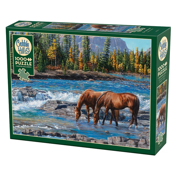 Cobble Hill 40267 - On the Rocks - 1000 db-os puzzle