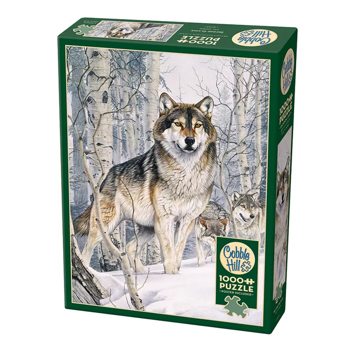 Cobble Hill 40143 - Second Glance - 1000 db-os puzzle