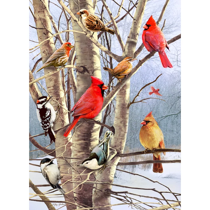 Cobble Hill 40248 - Winter Birds - 1000 db-os puzzle