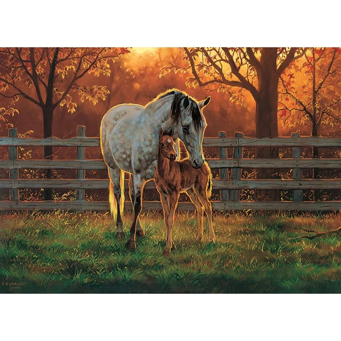 Cobble Hill 45002 - Quiet Time - 500 db-os puzzle - Quiet Time