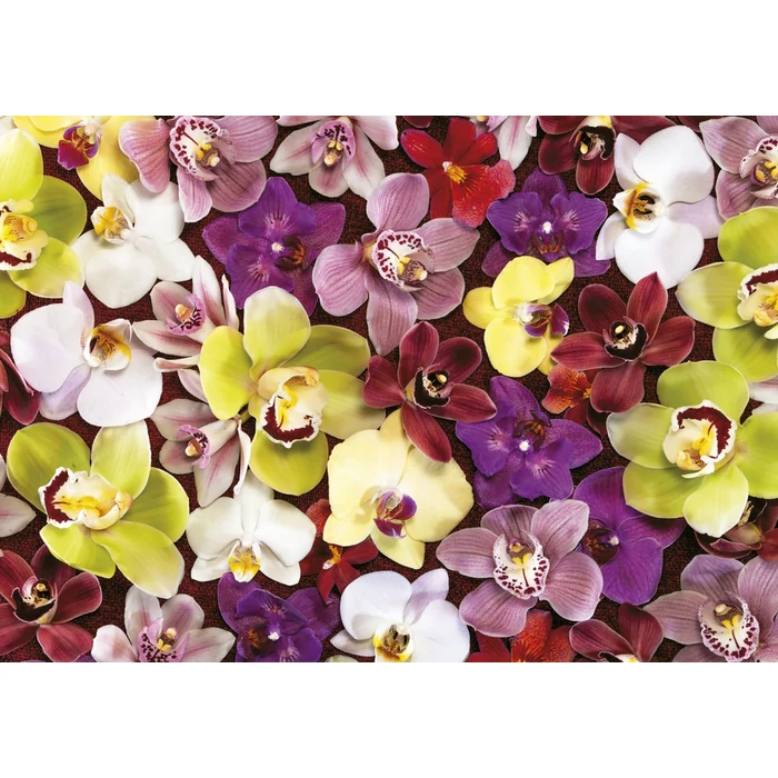 Educa 19558 - Orchidea kollázs - 1000 db-os puzzle