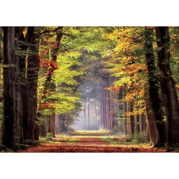 Educa 19021 - Őszi séta - 1000 db-os puzzle
