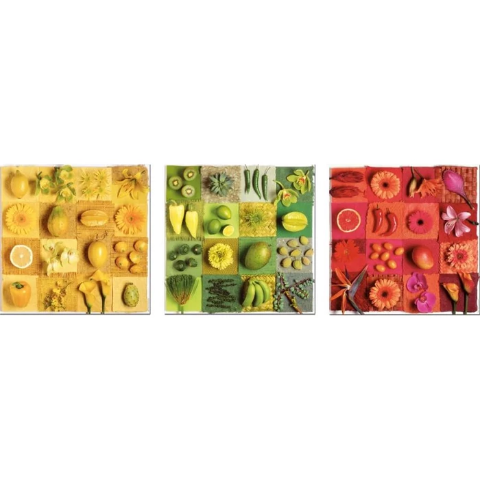 Educa 18454 - Egzotikus gyümölcsök és virágok - 3x500 db-os puzzle
