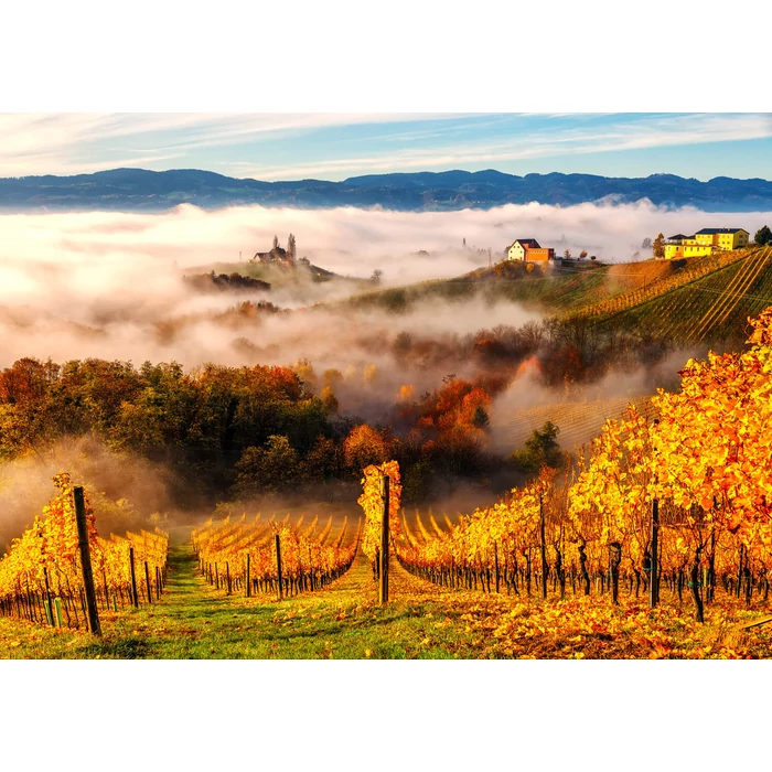 Enjoy Puzzle - 2064 - In the Vineyards - 1000 db-os puzzle