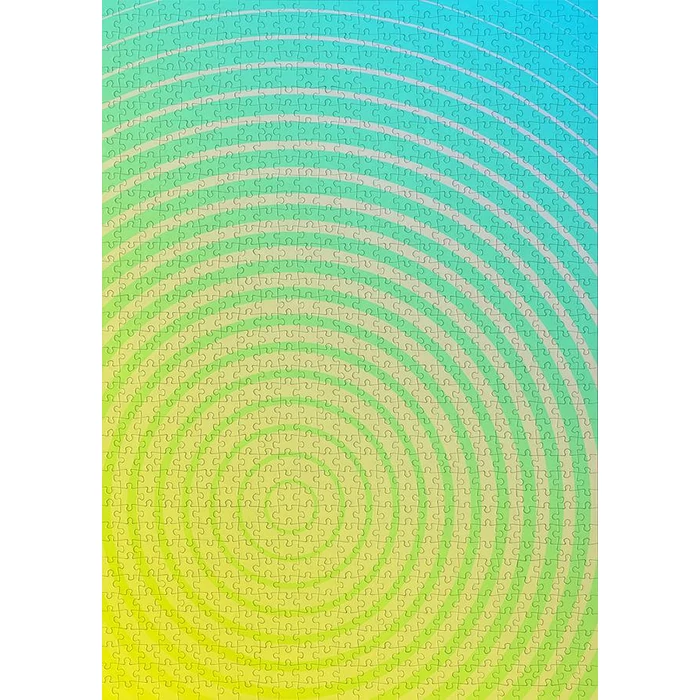 Enjoy Puzzle - 1311 - Circle Gradient Number Four - 1000 db-os puzzle