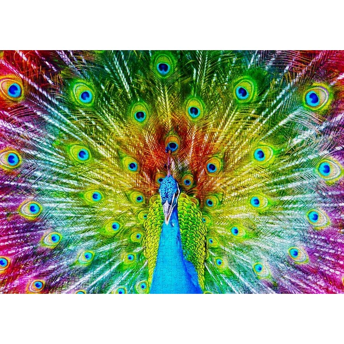Enjoy Puzzle - 1251 - Colorful Peacock - 1000 db-os puzzle