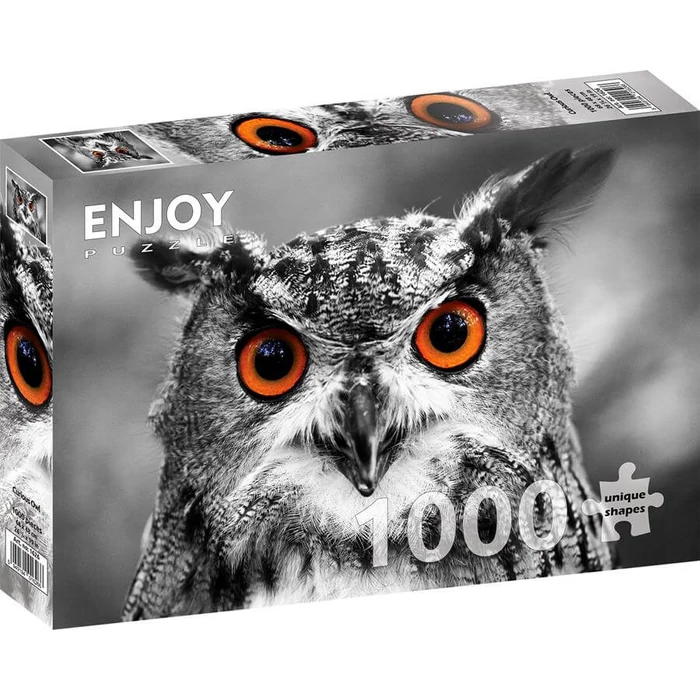 Enjoy Puzzle - 1626 - Curious Owl - 1000 db-os puzzle
