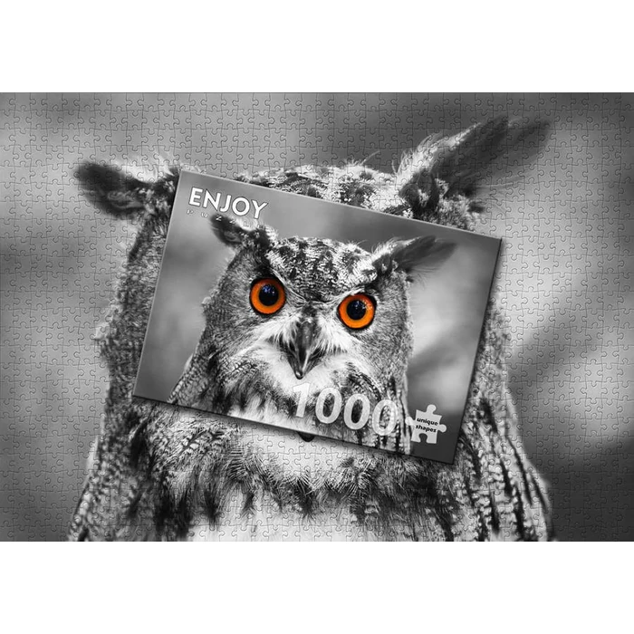 Enjoy Puzzle - 1626 - Curious Owl - 1000 db-os puzzle