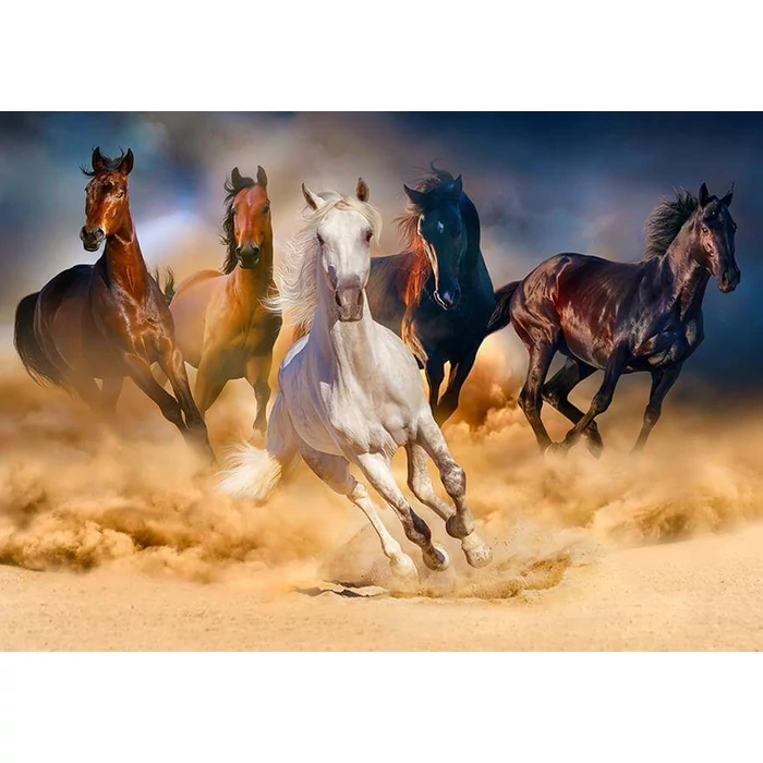 Enjoy Puzzle - 1356 - Horses Running in the Desert - 1000 db-os puzzle