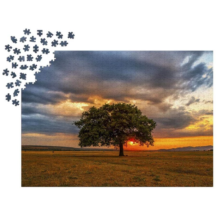 Enjoy Puzzle - 2065 - Leaves Eclipse - 1000 db-os puzzle