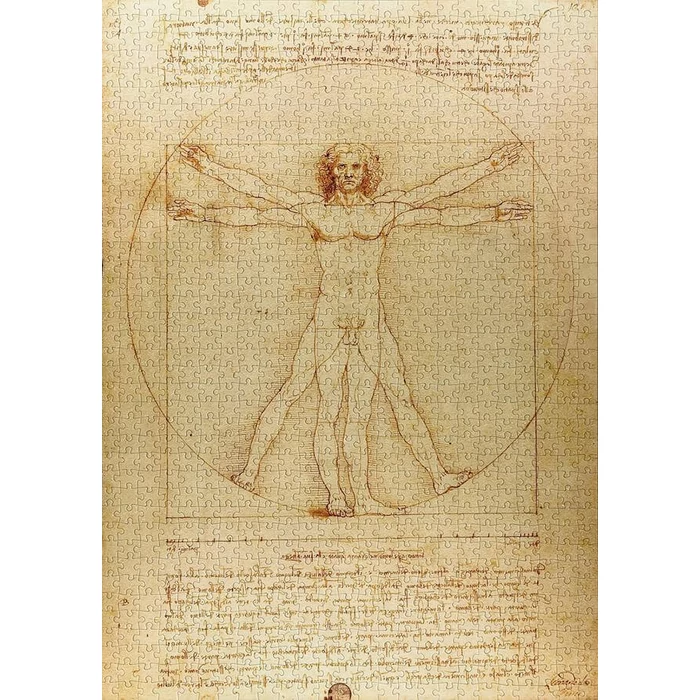 Enjoy Puzzle - 1557 - The Vitruvian Man - 1000 db-os puzzle